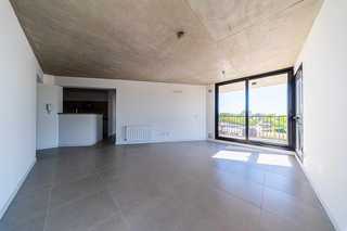 Artigas y José Hernandez