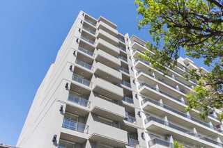 San Juan y Rodriguez